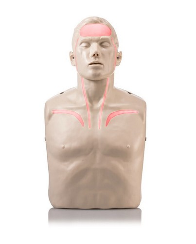 Brayden manikin led blutfluss - brayden,