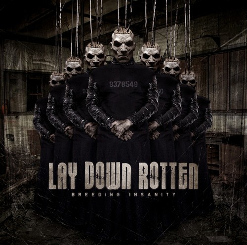 Lay down rotten breeding - -,