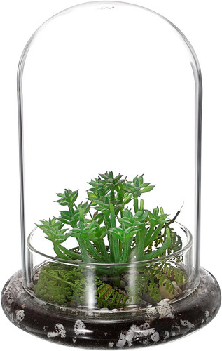 Mini pflanzenterrarium glas - mini,