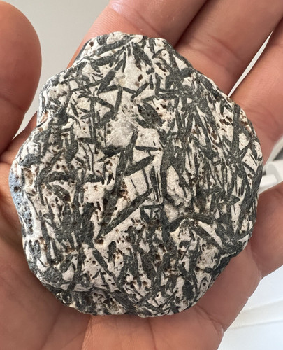 Hornblende glimmerschiefer - in,