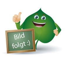 ZIMTLATSCHEN mit Kreuzriemen