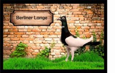 Fußmatte Schmutzfangmatte