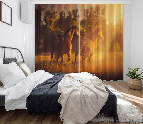 Glückliches pferd zhuc504 - glückliches,