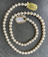 1 Strang japanische Salzwasser