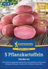 Pflanzkartoffel Heiderot,5