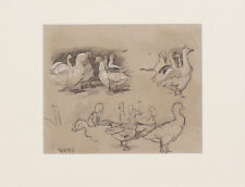 Walter Waentig. Gänsestudie