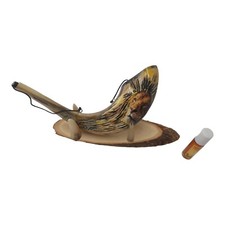 Shofar verkauf für - Öl, 13"