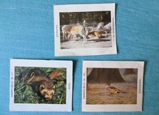 💎 Creck / Tiere unserer