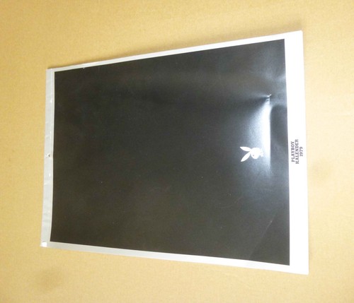 Playboy deutschland kalender - playboy,