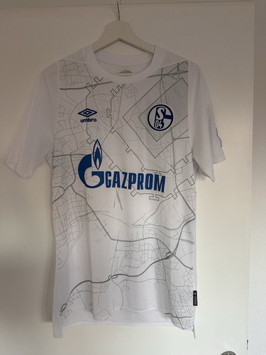 Schalke auswärts - fc,