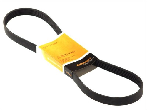 Contitech keilrippenriemen - keilrippenriemen, 6