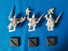 Warhammer Fantasy Dunkelelfen