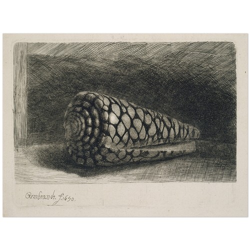Rembrandt harmenszoon van - rembrandt,