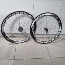 REYNOLDS ASSAULT CARBON