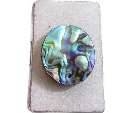 Paua muschel abalone - muschel, cabochon