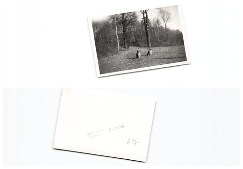 Crimmitschau - ,