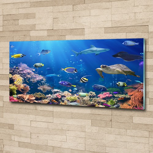 Glas bild wandbilder - glas-bild, auf
