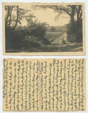 85689 - Reetdachhaus am Wegesrand - undatiertes Foto