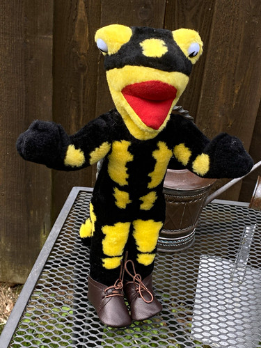 Vintage lurchi salamander - lurchi,