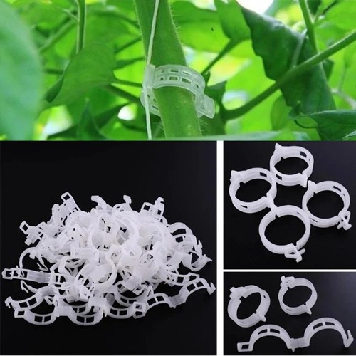 100 stück pflanzenclips - stück,