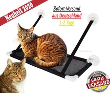 Premium Fensterplatz Katzen