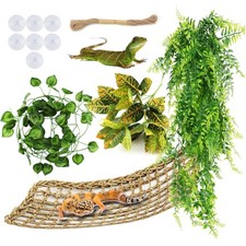 Reptilien Terrarium Dekoration