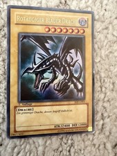 Rotäugiger blauer drache - rotäugiger,