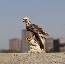 Adler Figur Weißkopfseeadler