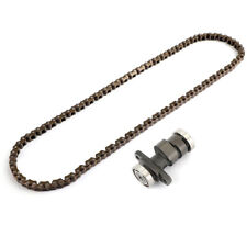 Steuerkette mit Nockenwelle