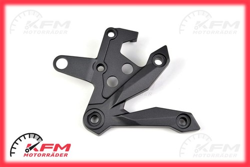 Oem kawasaki z1000 z750 - oem, r