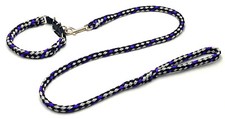 Hundeleine + Hundehalsband