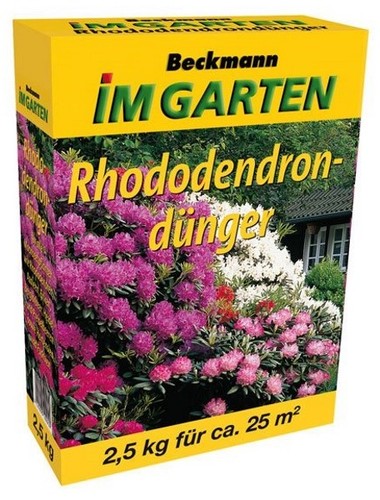 Rhododendron dünger - rhododendron,