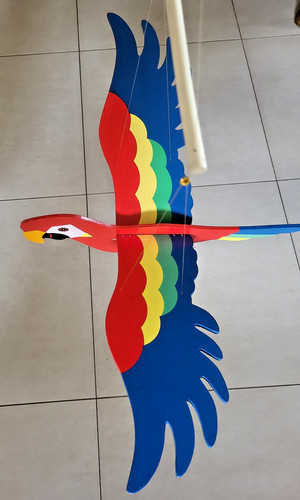 Großer schwingvogel papagei - schwingvogel,,