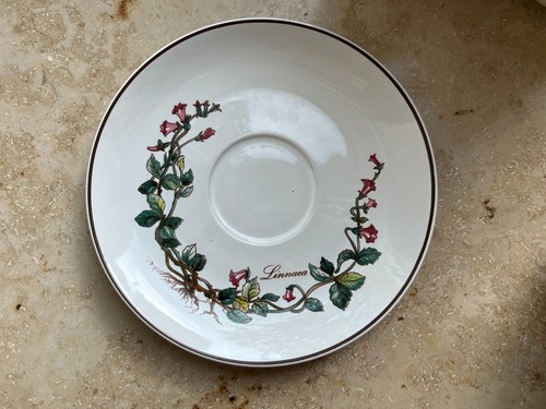 Villeroy boch botanica - villeroy,