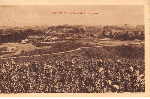 Beaune san41079 - -,