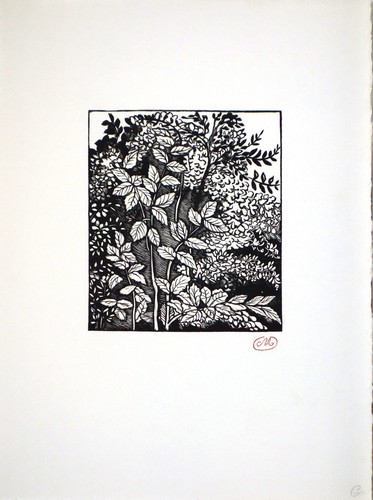 Aristide maillol illustration - aristide,
