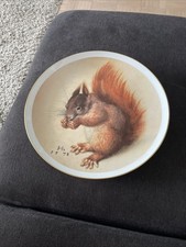 Wandteller Von Fürstenberg. Motiv Eichhörnchen .