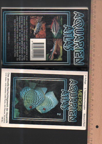 Mergus - ,