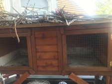 hasenstall gebraucht, für draußen 