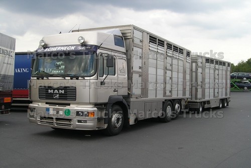 Lkw foto man - man, f2000