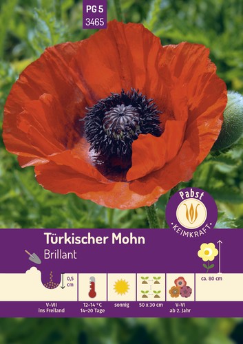 Türkischer mohn brillant - mohn,