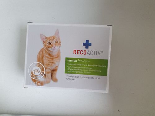 Recoactiv katze immuntonicum - recoactiv,