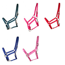 Halfter Basic Mini-shetty Shetty Pony Cob