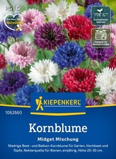 Kornblumen gefüllte Mischung ca. 80   Samen Schnitt  Blumen Stauden
