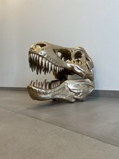 XXL Dinosaurier Schädel T-Rex