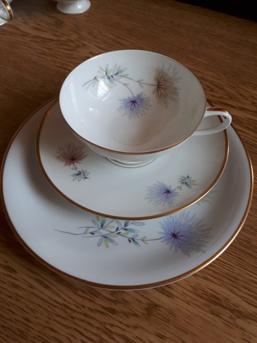 Rosenthal porzellan kaffee - porzellan,