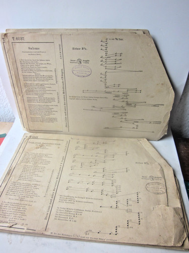31026d notenblätter zither - 17,