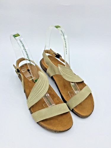 Naturalista n5811 liquen - naturalista,,