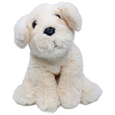 Sunkid Golden Retriever Welpen