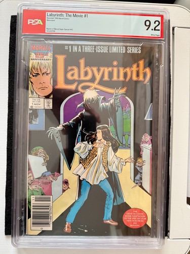 Psa labyrinth the movie - psa, labyrinth: